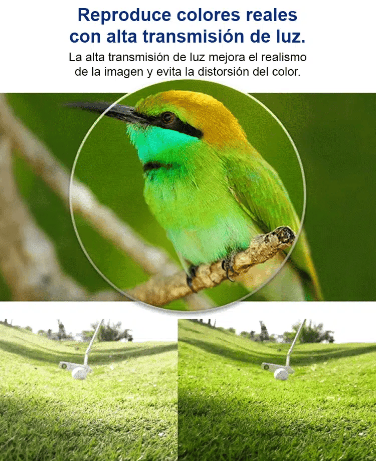 Gafas para Presbicia Antiluz Azul ActiveTR90 2.0